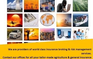 Agri Business Advert